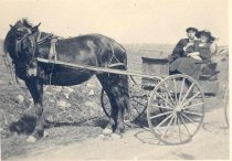 Man and woman in a horse-drawn cart